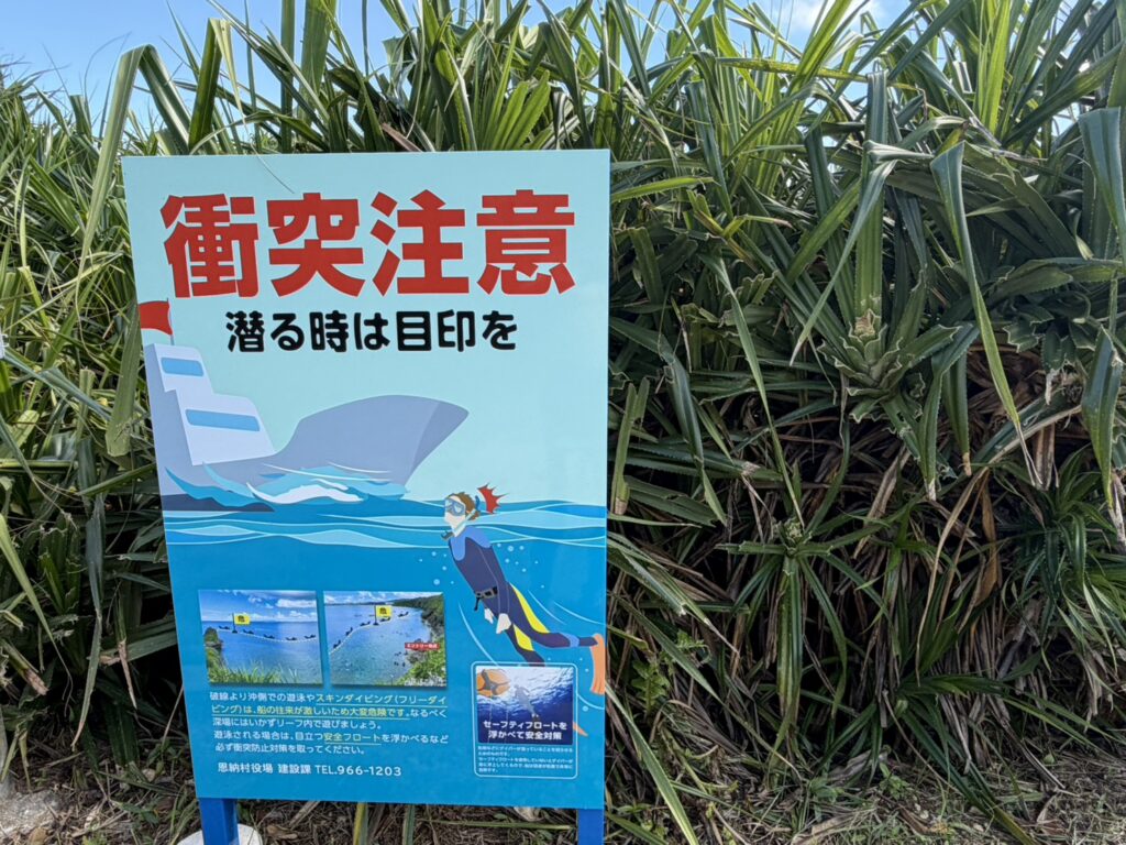 沖繩自由行-沖哥-青之洞窟浮潛