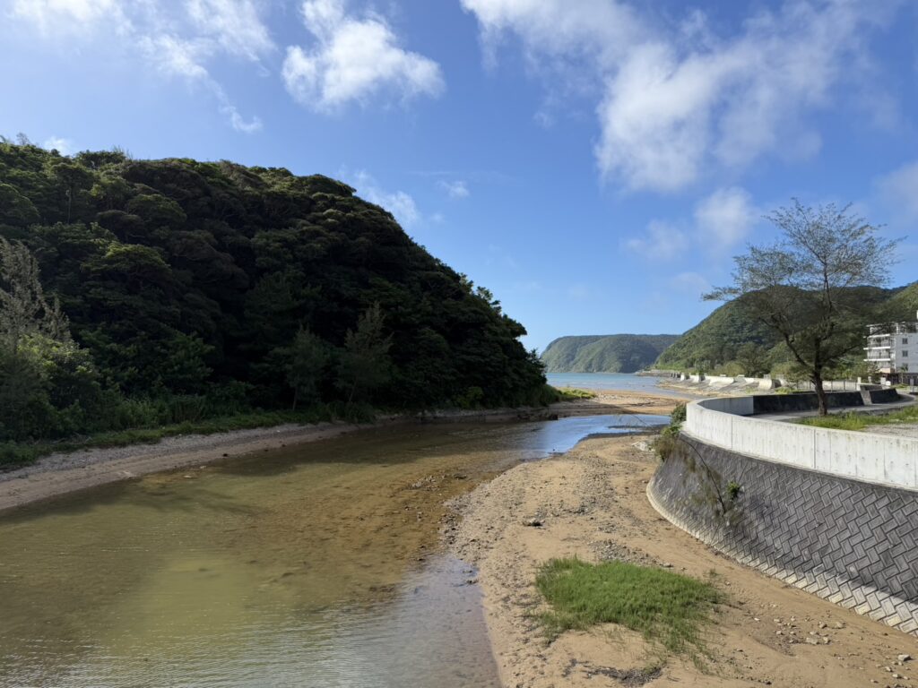 沖繩自由行-沖哥-東村紅樹林