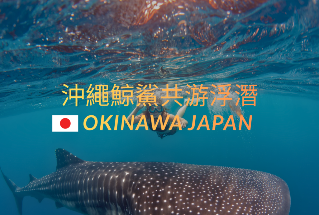 沖繩自由行-沖哥-鯨鯊共游浮潛