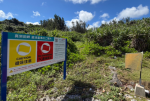 沖繩自由行-沖哥-青之洞窟浮潛