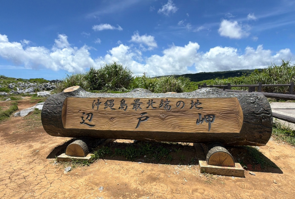 沖繩自由行-沖哥-邊戶岬